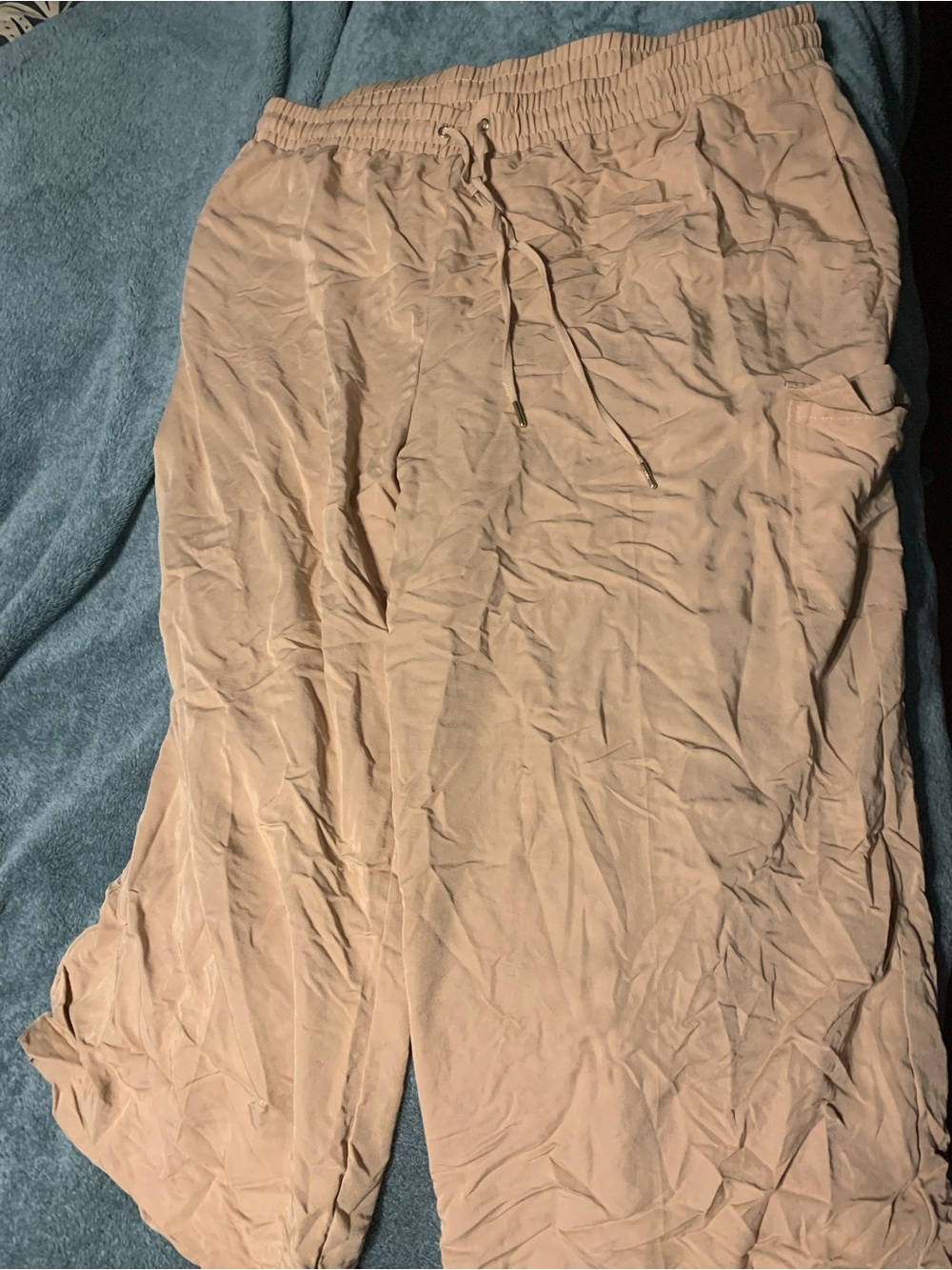 Anne Klein Peach Elastic Waist Pull-On Pants